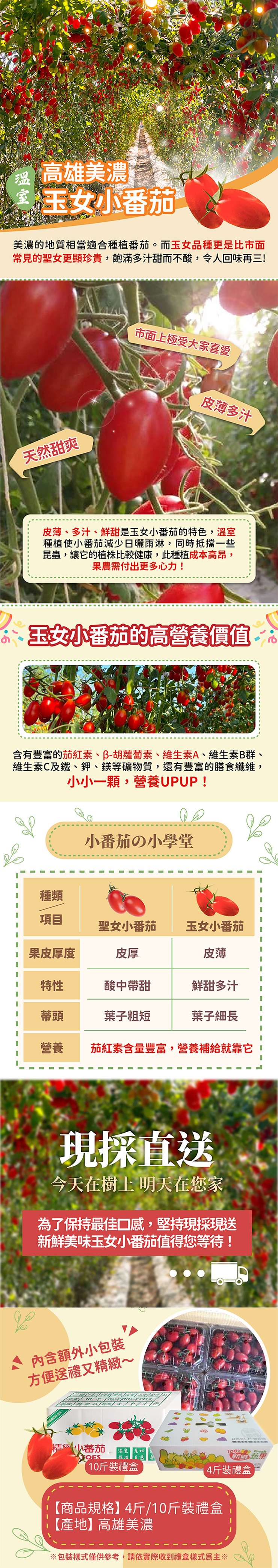 【家購網嚴選】溫室玉女小番茄 4斤/10斤禮盒