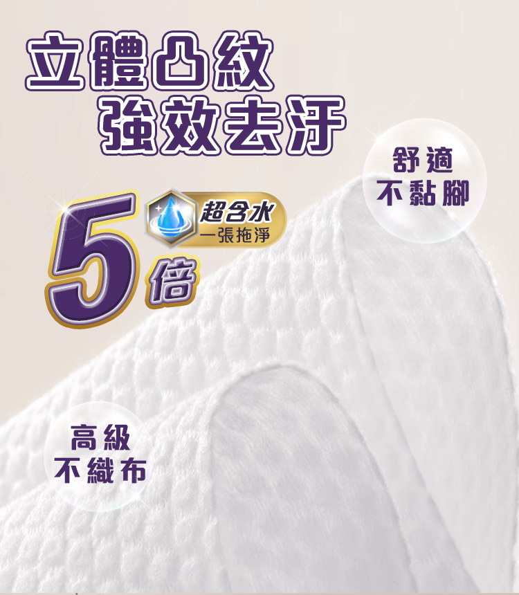 【驅塵氏】抗菌濕拖巾12片 