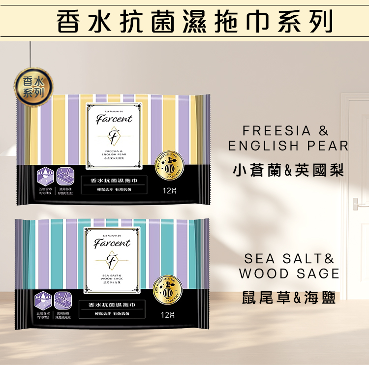 【驅塵氏】抗菌濕拖巾12片 