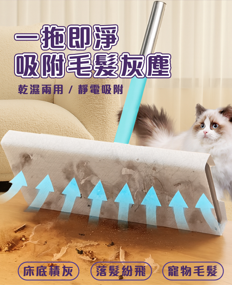 【驅塵氏】乾濕兩用拖