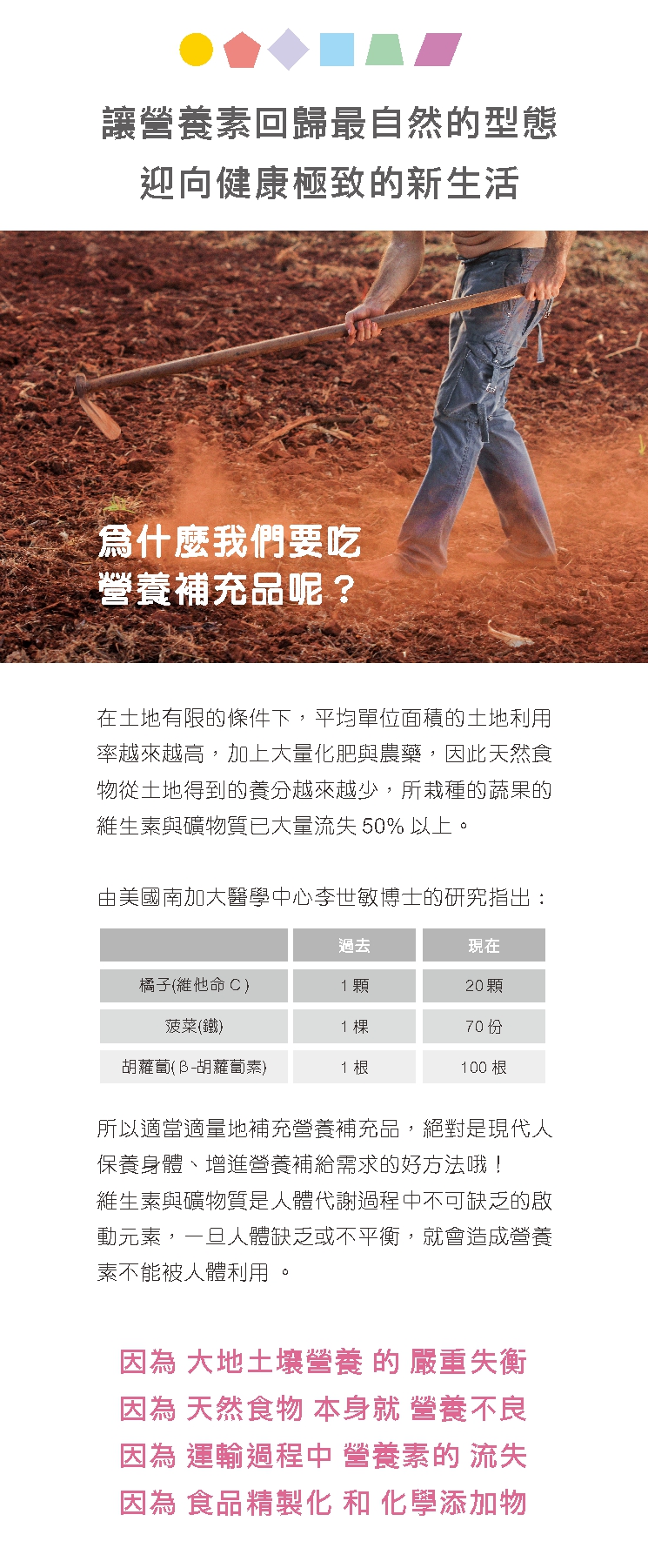 WF複合維生素C補充品