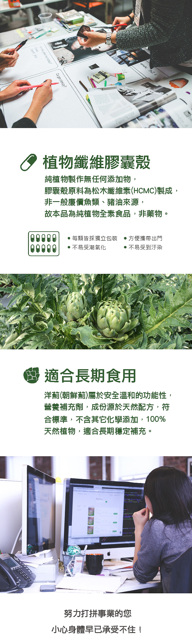 法國百合《洋薊養生膠囊》