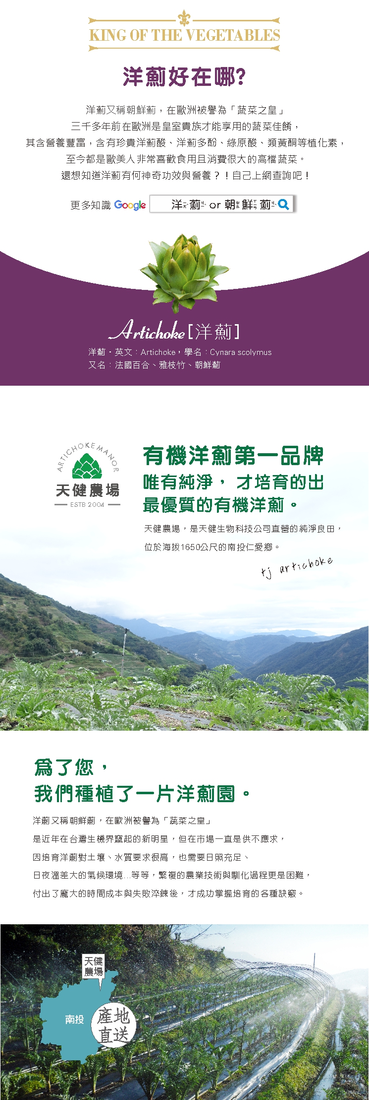 法國百合《洋薊養生膠囊》