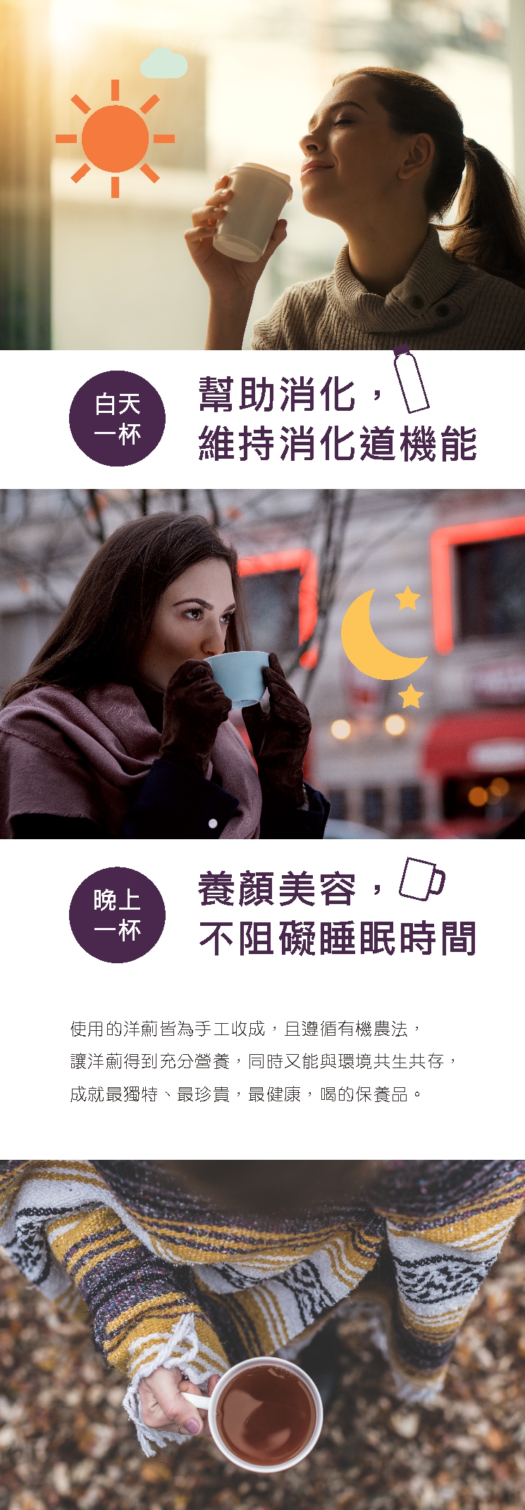 洋薊莊園【100%洋薊茶】