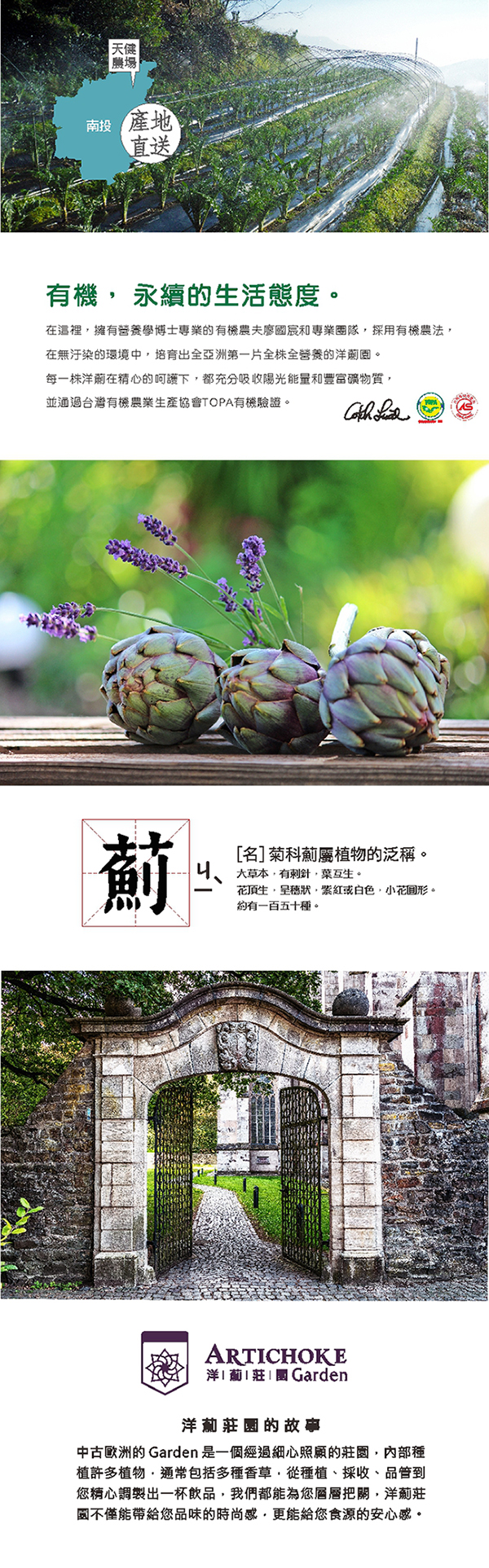 洋薊莊園【100%洋薊茶】