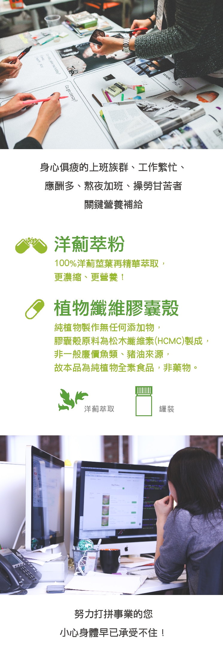 法國百合【洋薊膠囊plus】