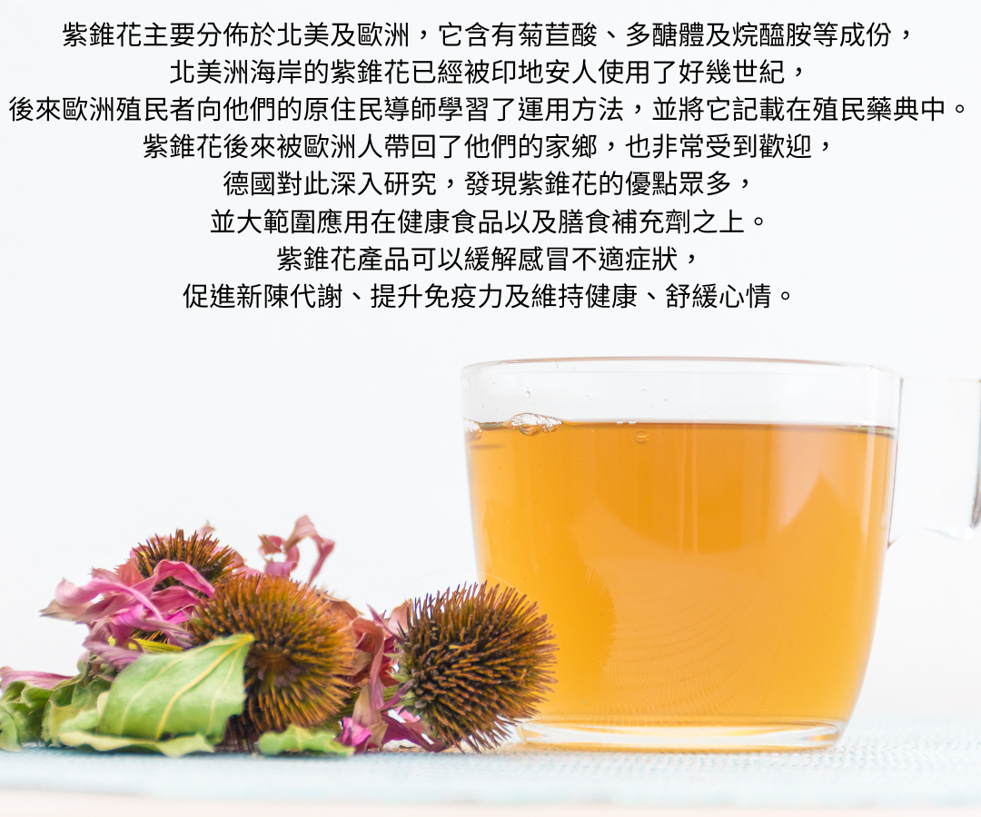 【乾燥紫錐菊純花】(18g/罐裝)