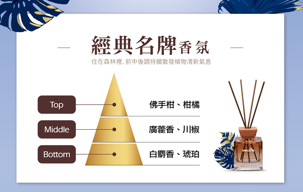 Amaze 經典擴香瓶組合 香味任選 (100mlx1瓶+香氛包x1盒) 