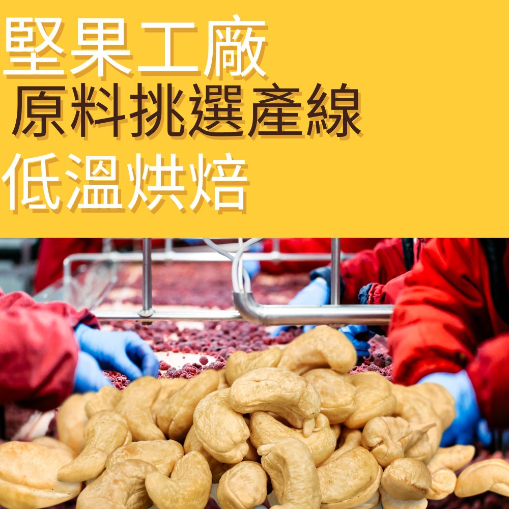 熱銷無調味五寶綜合堅果 斤裝家庭包 600g