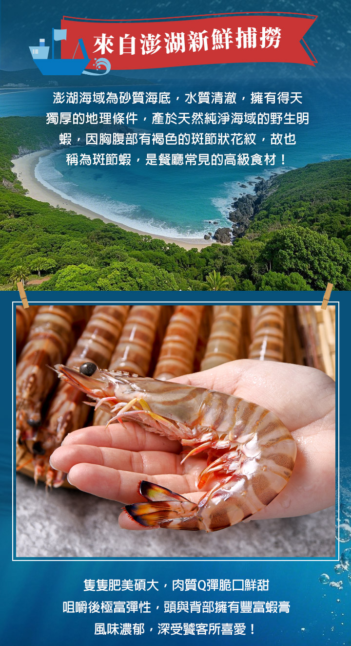【愛上新鮮】阿基師美味推薦 澎湖活凍野生明蝦(一盒7隻)