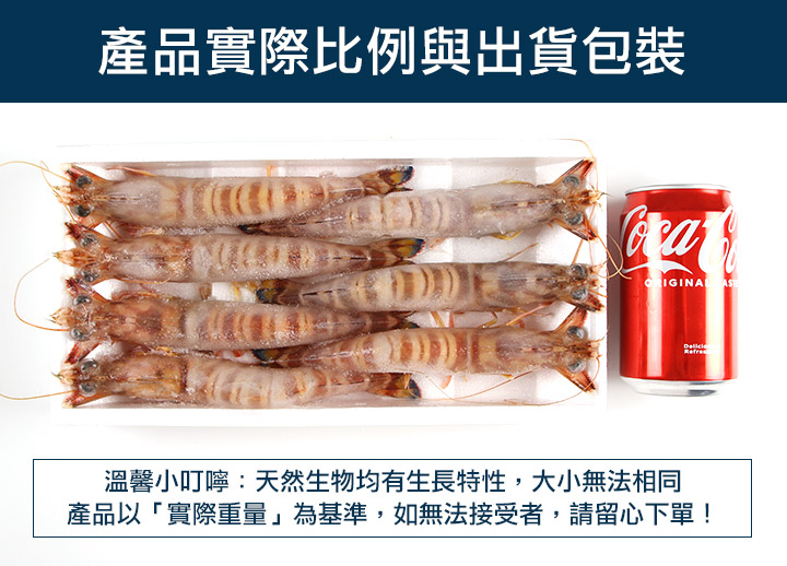 【愛上新鮮】阿基師美味推薦 澎湖活凍野生明蝦(一盒7隻)