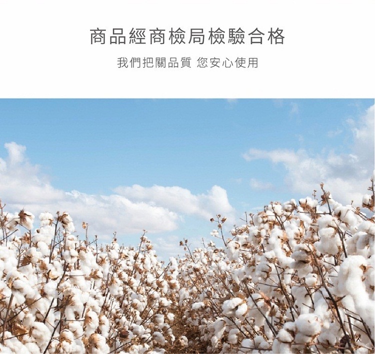 【星紅織品】台灣製純棉無染浴巾 毛巾