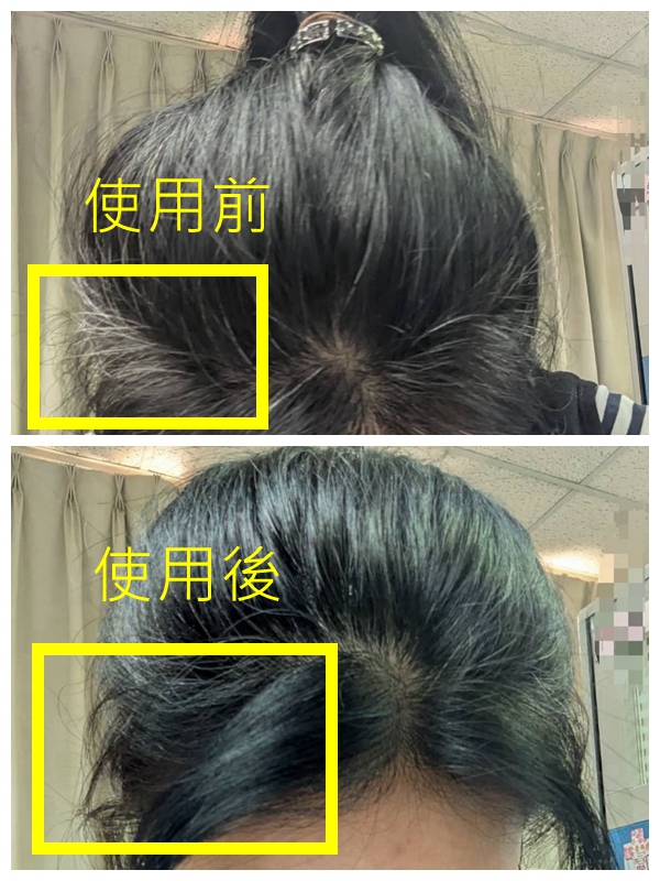 【 日本製 Cielo】 宣若 Hoyu 1 day速乾 白髮棒 補染梳 快速補染筆 局部補染棒 補染筆9ml