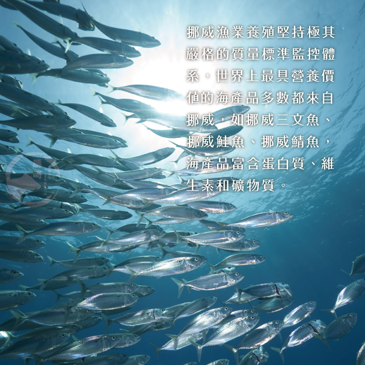 【勝崎生鮮】挪威薄鹽鯖魚切片(150公克 / 1片)