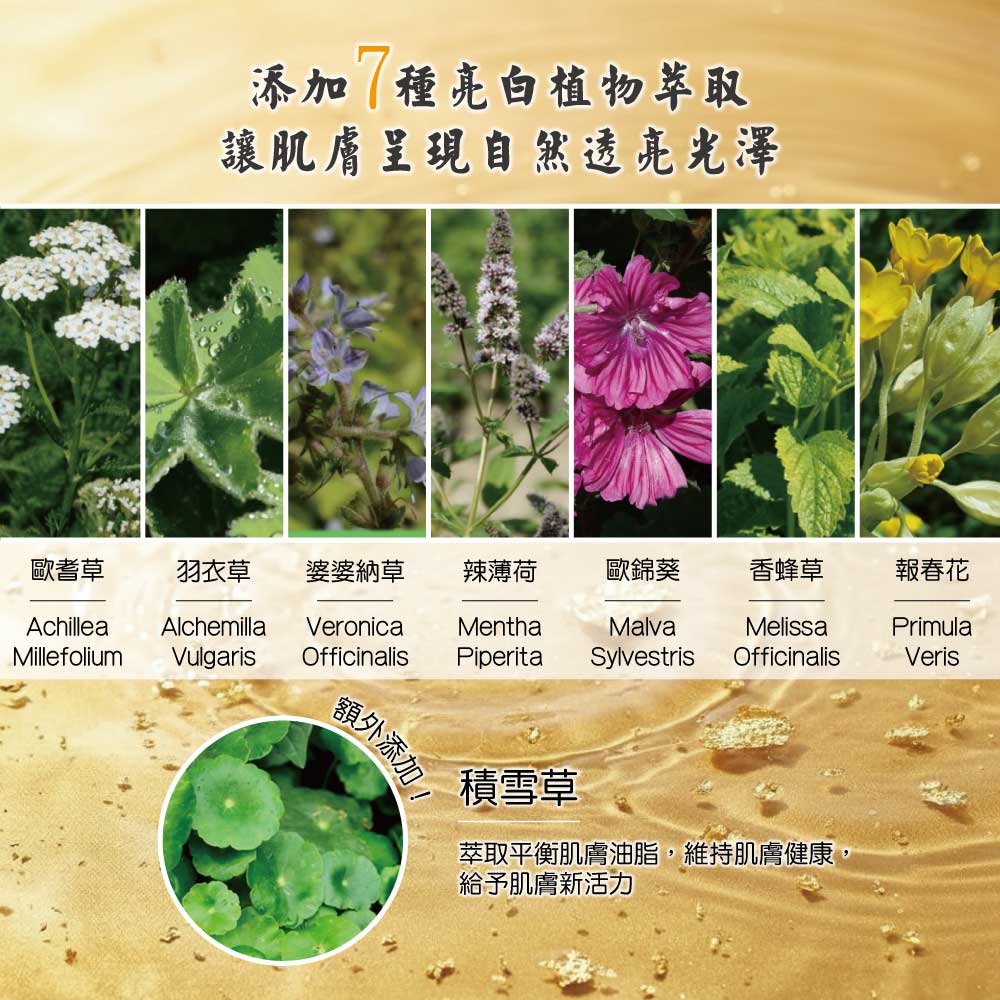 【HAPPY HOUSE快樂屋】流金沐浴乳 750ML