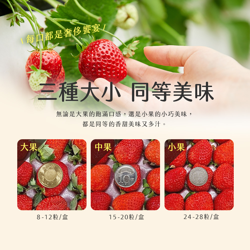 【雪莉朵辣嚴選】黑金剛紅草莓 大果