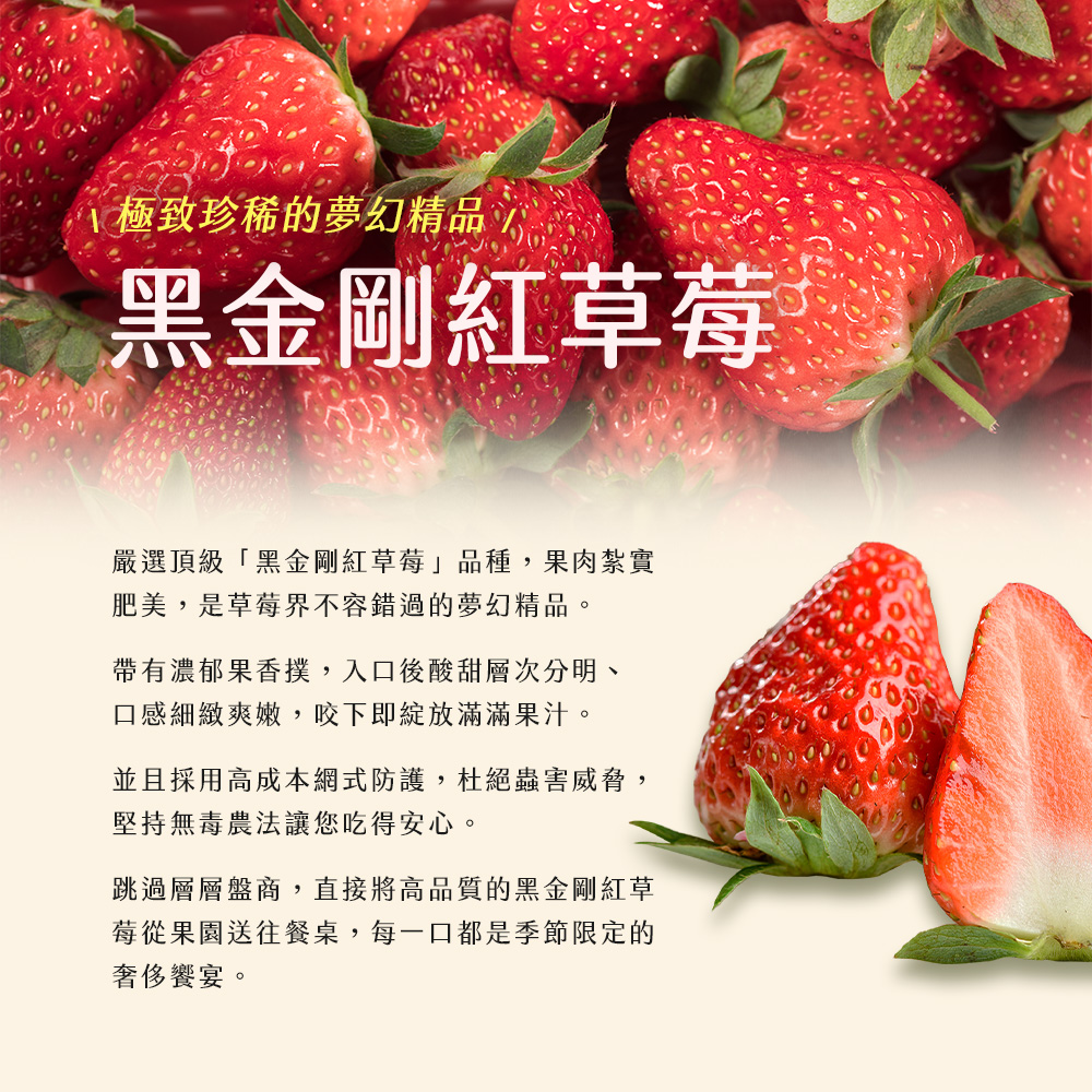 【雪莉朵辣嚴選】黑金剛紅草莓 中果