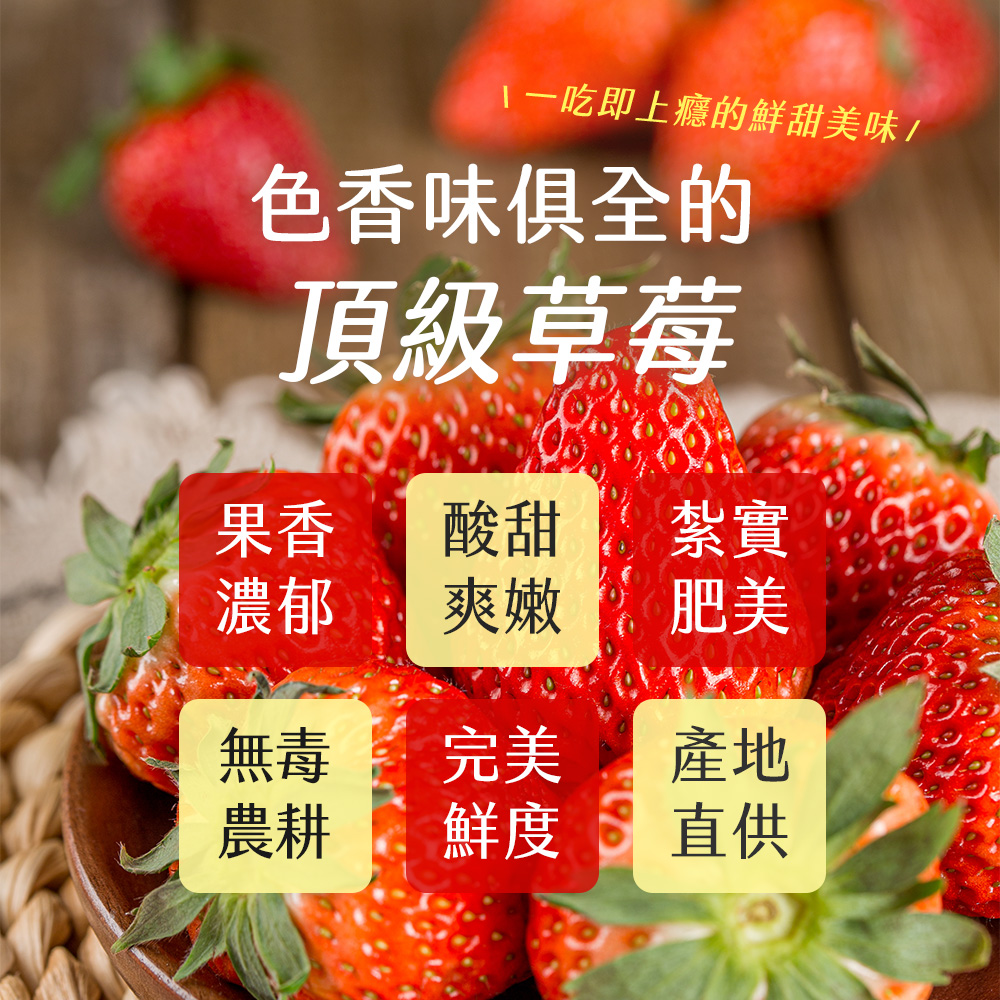 【雪莉朵辣嚴選】黑金剛紅草莓 中果