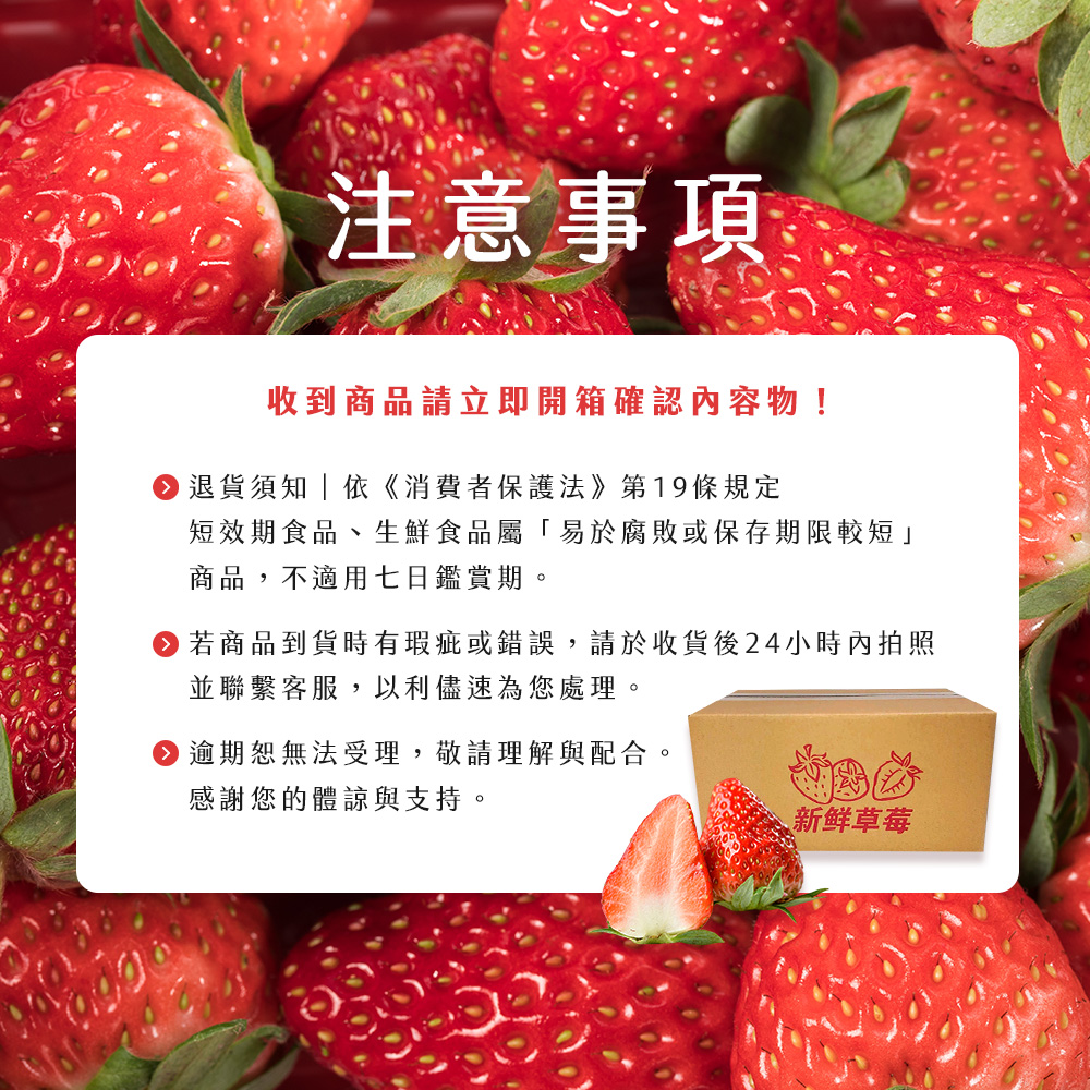 【雪莉朵辣嚴選】黑金剛紅草莓 小果