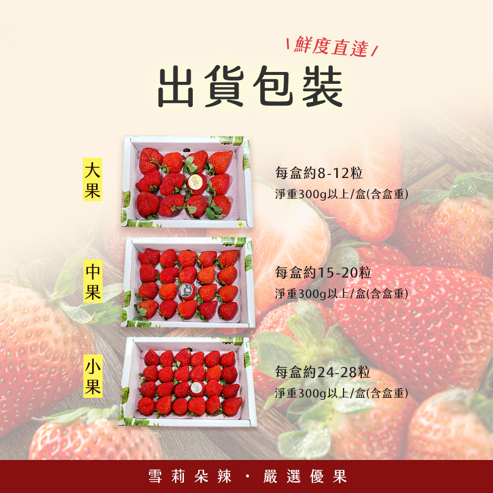 【雪莉朵辣嚴選】黑金剛紅草莓 中果