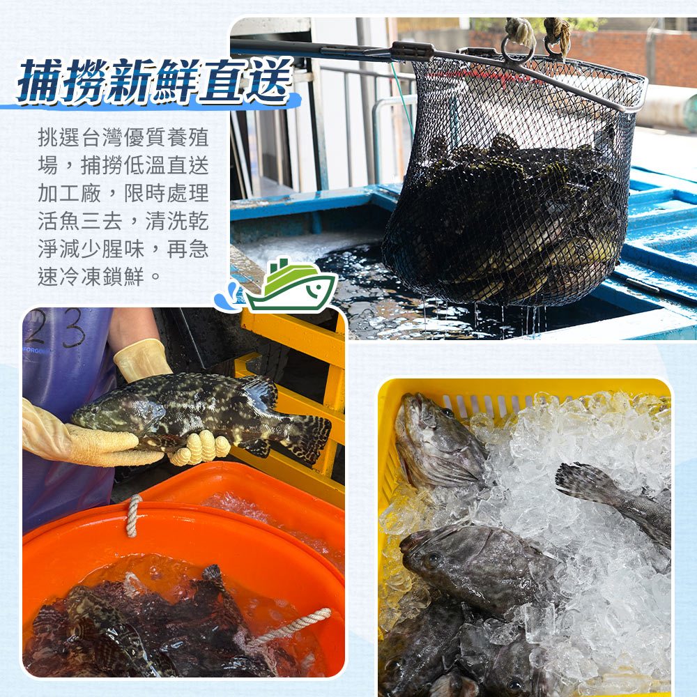 【山田大叔】金燦龍虎斑炊粉鍋 2200g