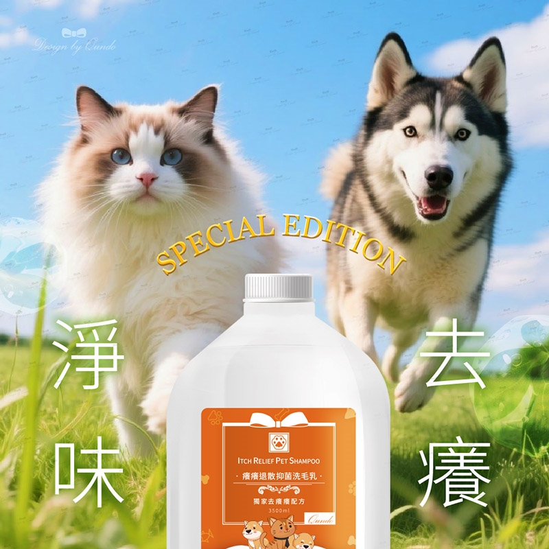 康朵癢癢退散抑菌洗毛乳3500ml