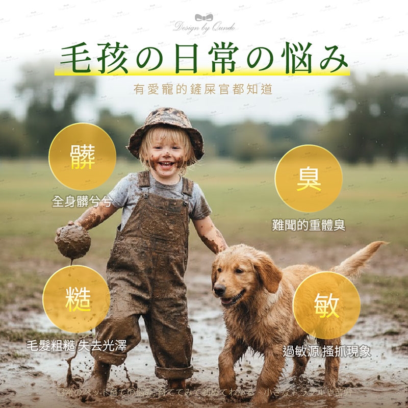 康朵癢癢退散抑菌洗毛乳3500ml