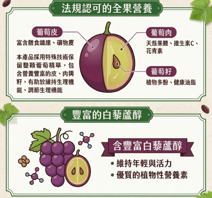 【王媽媽推薦】智利有籽葡萄乾