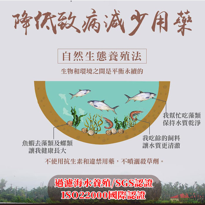 【築地一番鮮】重量級｜大比目魚+厚切鮭魚+厚輪切土魠魚+虱目魚｜6片任選組