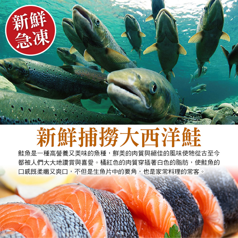 【賀鮮生】鮮嫩智利鮭魚切片(425g/片)