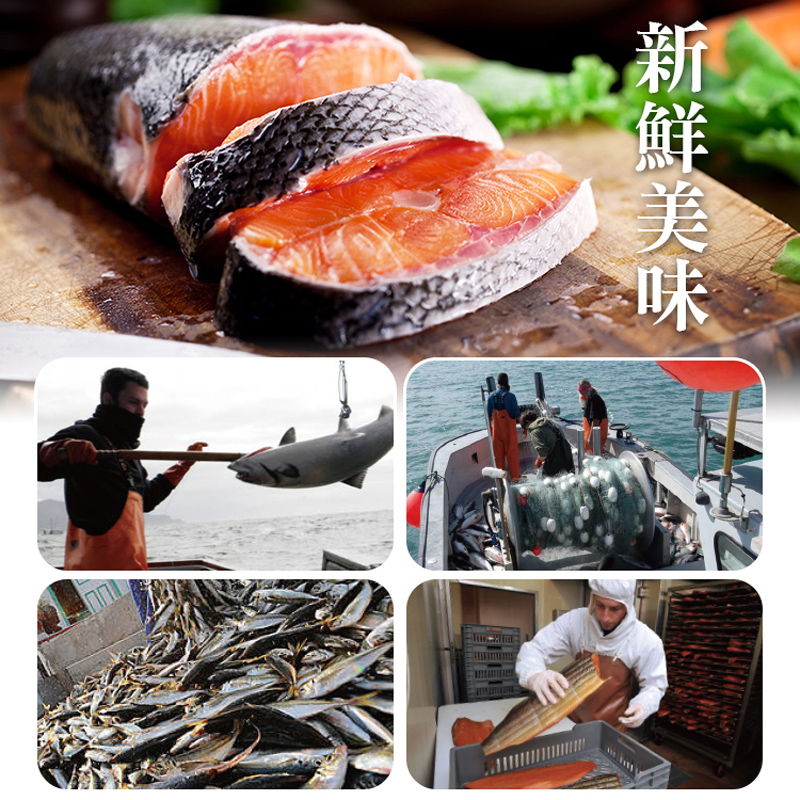 【賀鮮生】鮮嫩智利鮭魚切片(425g/片)