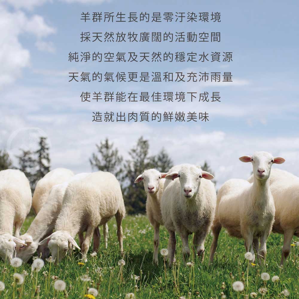【勝崎生鮮】帶骨羊小排(100g/2片)-羊排.小羊OP.羊肋.丁骨羊