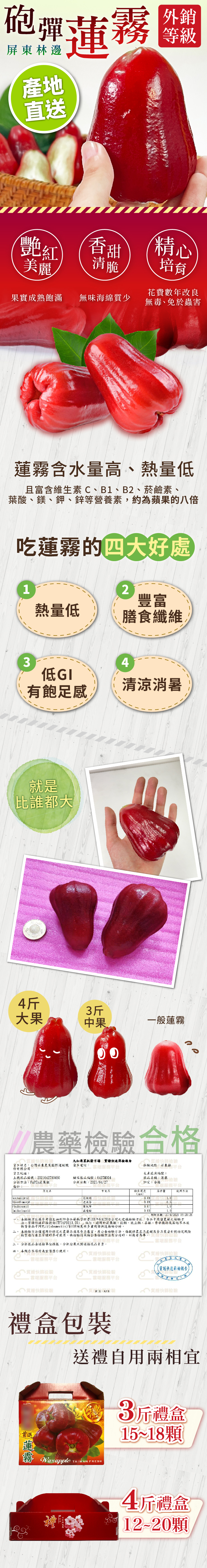 【家購網嚴選】屏東林邊砲彈蓮霧3斤禮盒(15~18顆)/4斤禮盒(12~20顆)