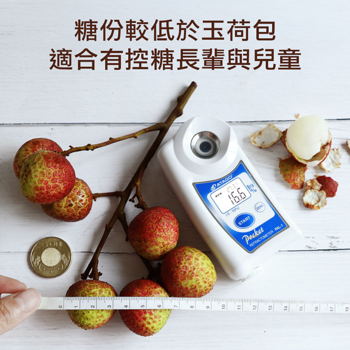 預購5/14-21出【築地一番鮮】純果粒｜楠西早生荔枝｜3斤盒｜4斤盒｜任選