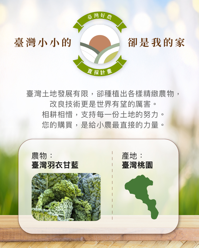 【日初良食】超級蔬菜100%純羽衣甘藍粉