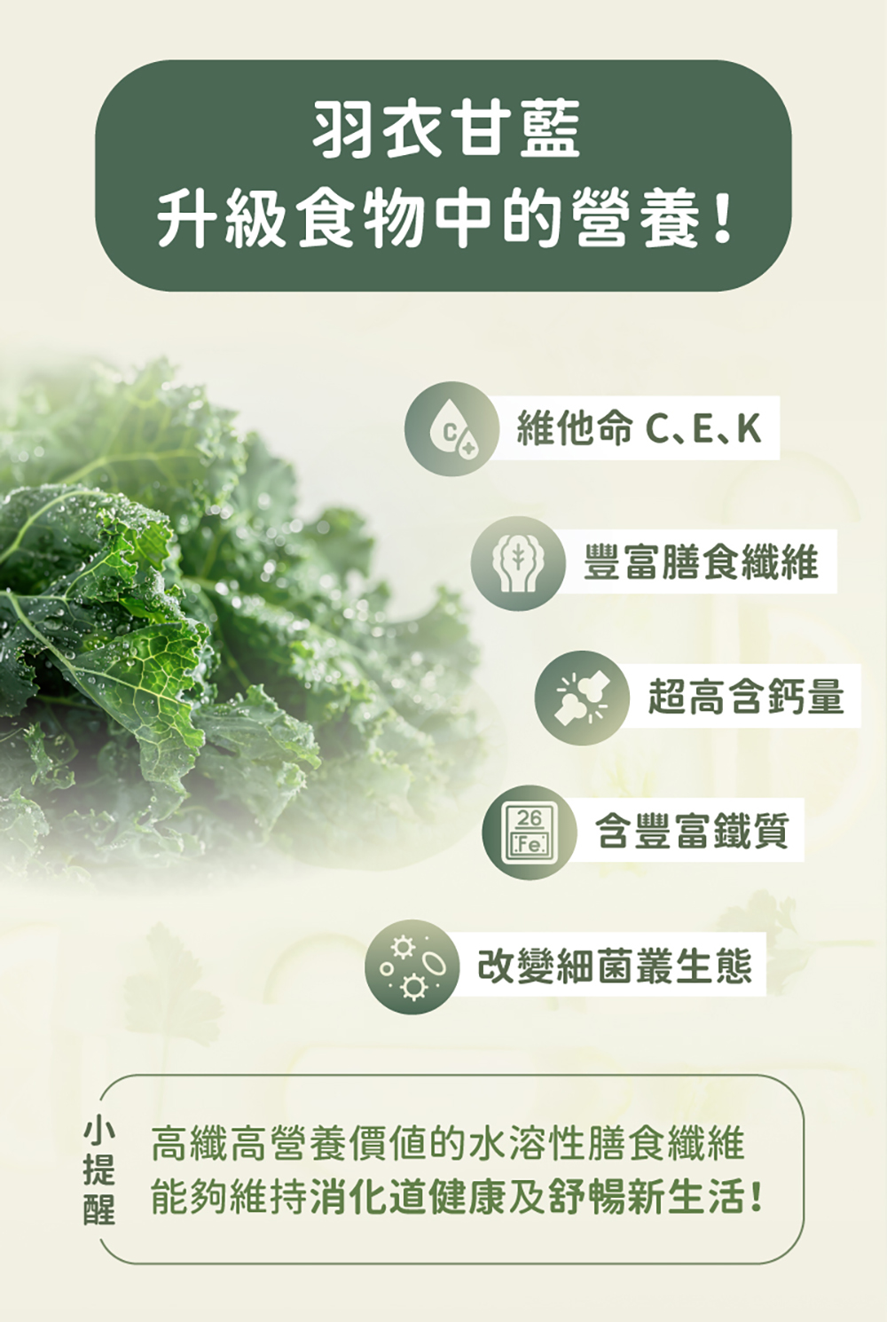 【日初良食】超級蔬菜100%純羽衣甘藍粉