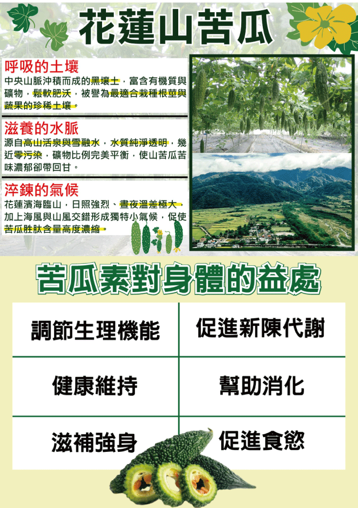【王媽媽推薦】誠漢天然草本山苦瓜茶