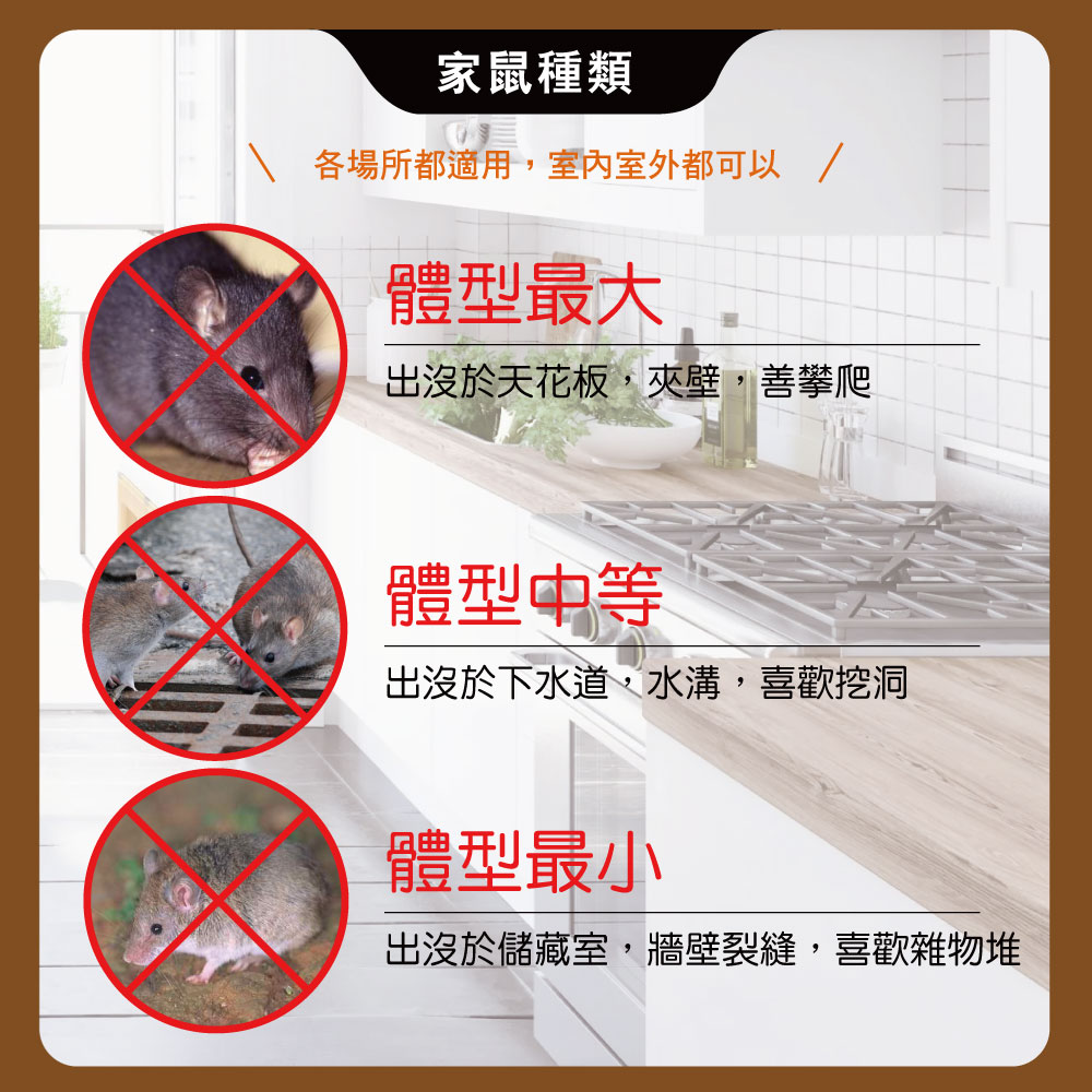 【HAPPY HOUSE快樂屋】第一強效防鼠凝膠5kg