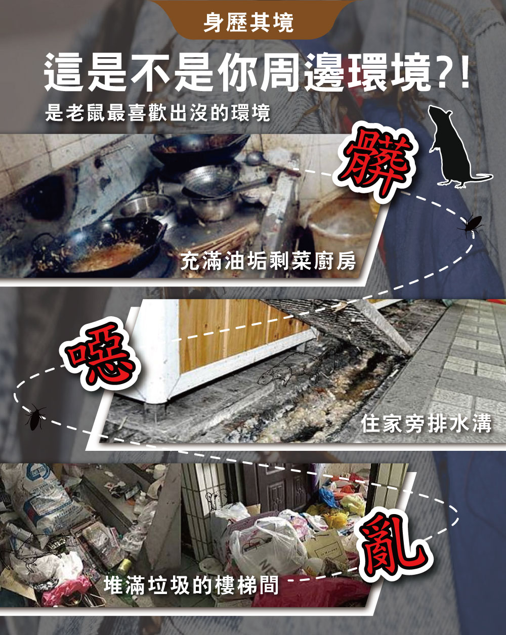【HAPPY HOUSE快樂屋】第一強效防鼠凝膠5kg