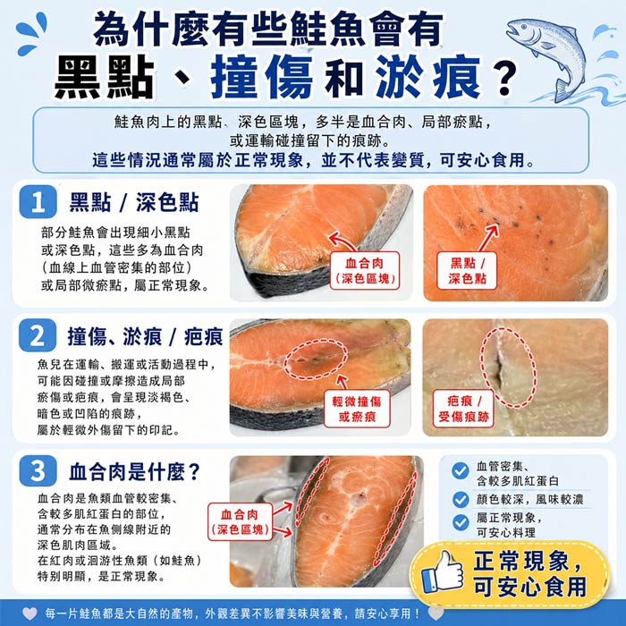 【築地一番鮮】鮭魚菲力魚排 ｜225g/片