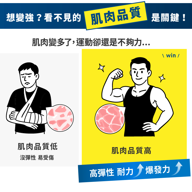 TANITA 4C技術 十二合一藍牙智能八點式體組成計RD-804LT