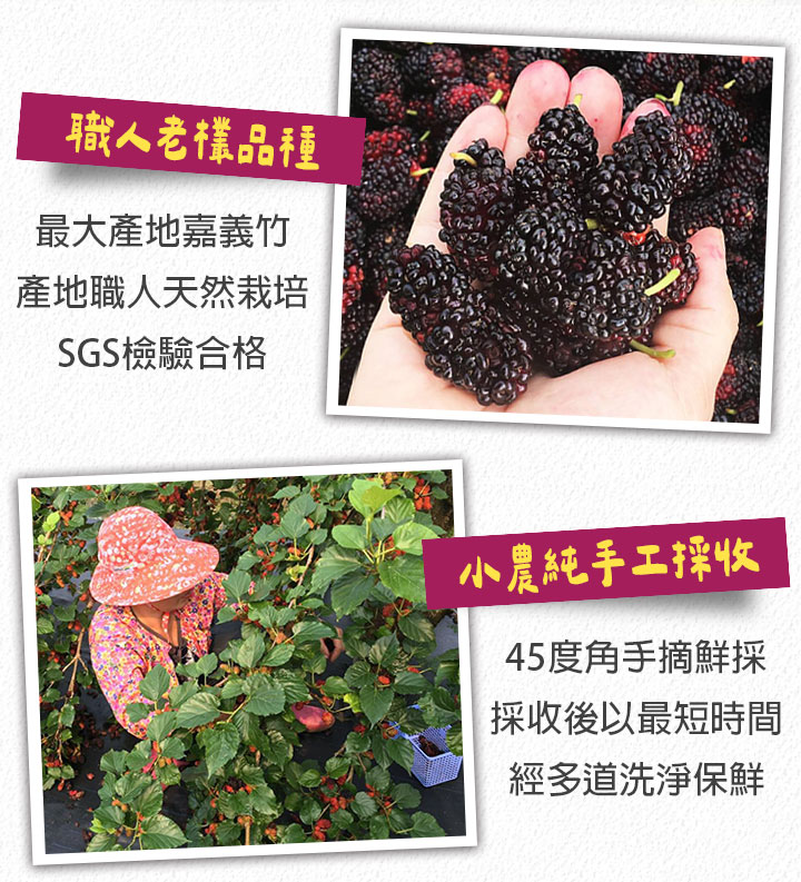 【享吃美味】台灣鮮採一級桑椹(300g/盒) 桑葚 水果 花青素 天然無添加