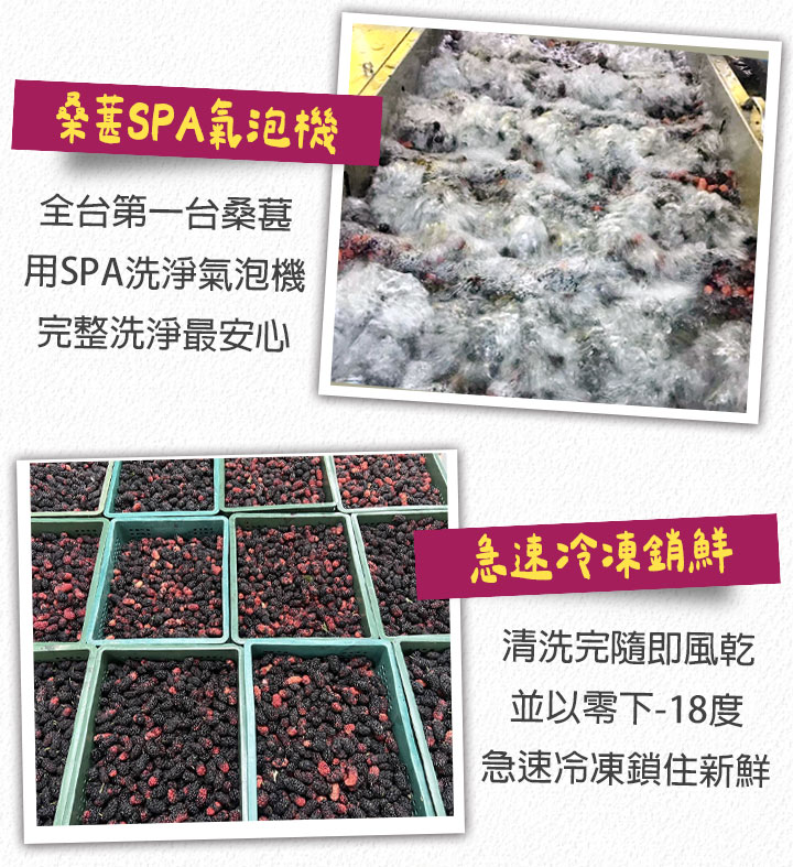【享吃美味】台灣鮮採一級桑椹(300g/盒) 桑葚 水果 花青素 天然無添加