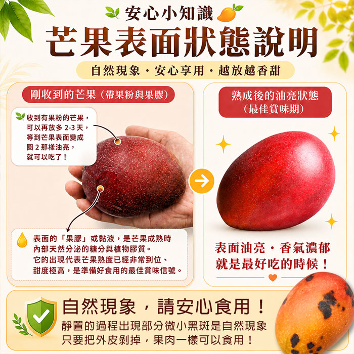 【築地一番鮮】現貨˙特大˙枋山愛文芒果5-10斤｜任選