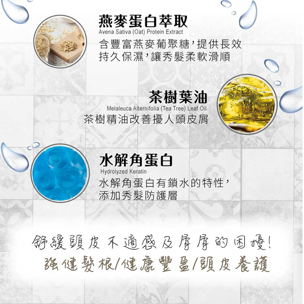 韓國 isLeaf 男士強韌洗髮精500ml(兩款功效挑選)