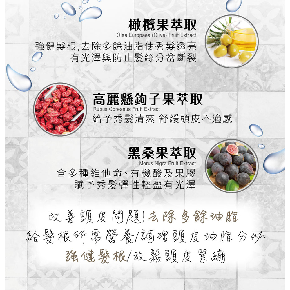 韓國 isLeaf 男士強韌洗髮精500ml(兩款功效挑選)