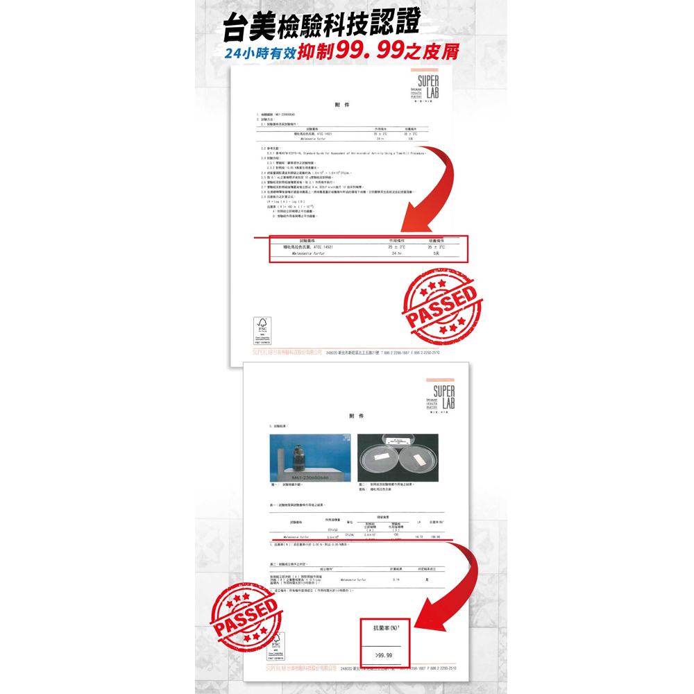 韓國 isLeaf 男士強韌洗髮精500ml(兩款功效挑選)