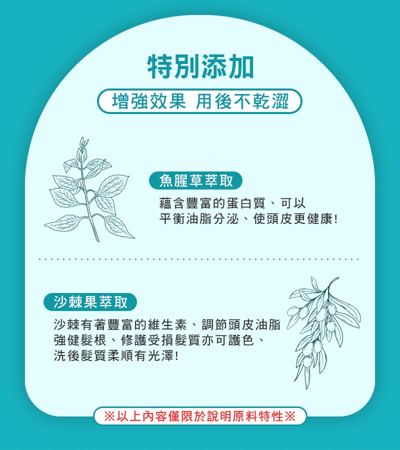 韓國 isLeaf 清爽控油蓬蓬粉5g( 拯救油塌髪 方便攜帶)