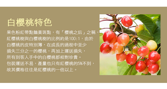 【築地一番鮮】華盛頓白櫻桃9ROW-空運美國櫻桃