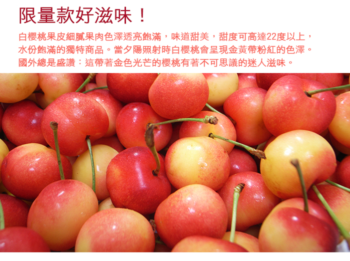 【築地一番鮮】華盛頓白櫻桃9ROW-空運美國櫻桃
